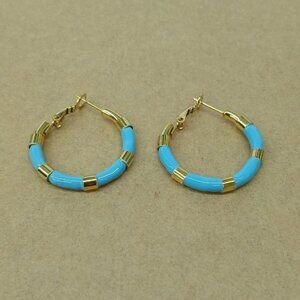 Stainless steel Earring , New with tags , Color gold and blue